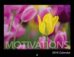 (image for) Motivational Calendars