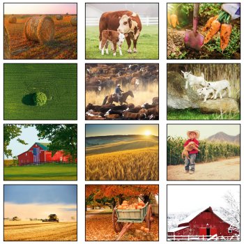 (image for) American Agriculture 13 Month Spiral Bound- # 205