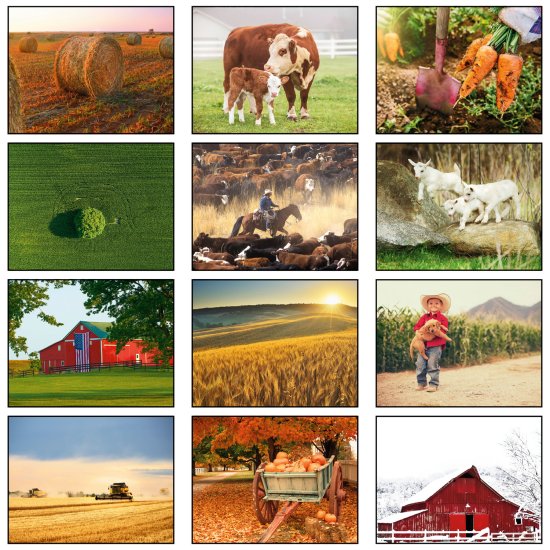 (image for) American Agriculture 13 Month Spiral Bound- # 205