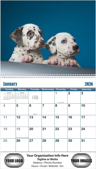 (image for) Puppies & Kittens 13 Month Spiral Bound- # 210