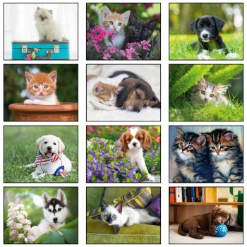 (image for) Puppies & Kittens 13 Month Spiral Bound- # 210