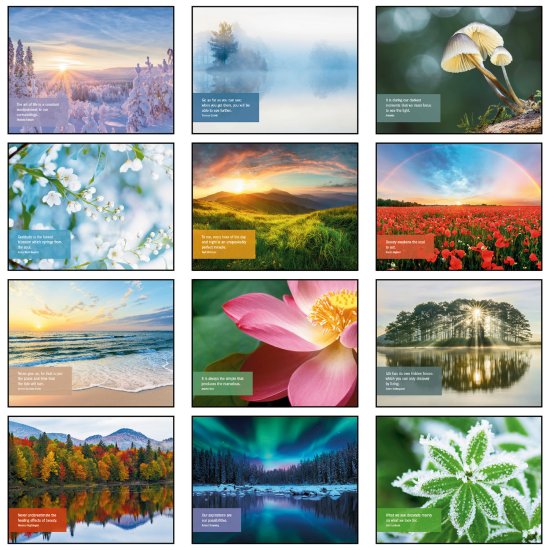 (image for) Inspiration 13 Month Wall Stapled Version- # 2301