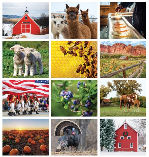 (image for) Old Farmer's Almanac Country Spiral Wall #OF56CC