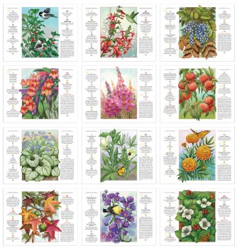 (image for) Old Farmer's Almanac Gardening Stapled Wall #OF56GA1