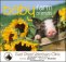 (image for) Baby Animal Calendars