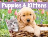 (image for) Dog & Cat Calendars