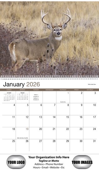 (image for) Wildlife 13-Month Full-Size Spiral Wall Calendar- #403