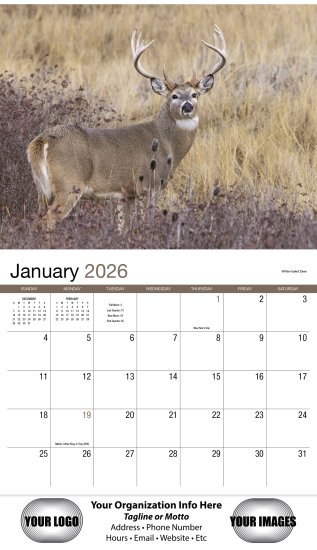 (image for) Wildlife 13-Month Full-Size Wall Calendar- #803