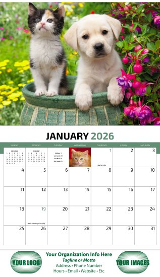 (image for) Four Paws 13-Month Full-Size Wall Calendar- #810