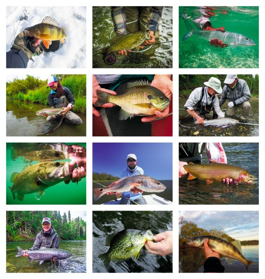(image for) Fisherman's Guide-13-Month Full-Size Wall Calendar #817