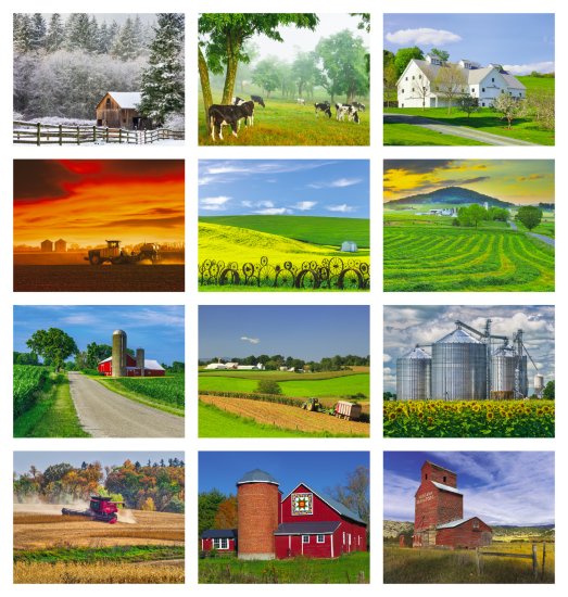 (image for) America's Bounty-13-Month Full-Size Wall Calendar #831