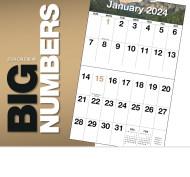 (image for) Big Numbers 13 Month Full-size Wall Calendar- #841