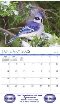(image for) Nature's Songbirds 13-Month Full-Size Wall Calendar #875