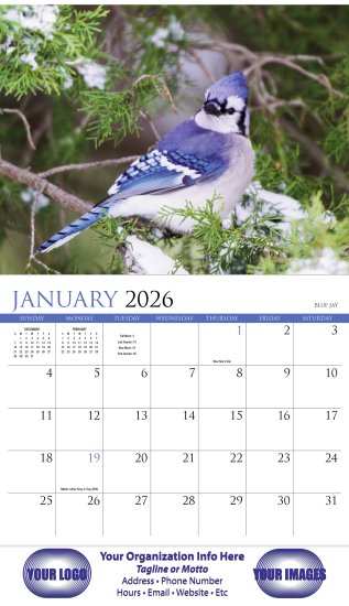 (image for) Nature's Songbirds 13-Month Full-Size Wall Calendar #875