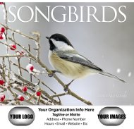 (image for) Nature's Songbirds 13-Month Full-Size Wall Calendar #875