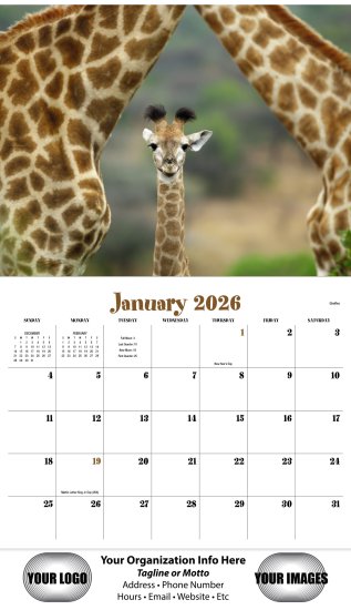 (image for) Animal Babies 13 Month Full Size Wall Calendar #890