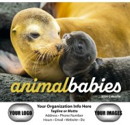 (image for) Animal Babies 13 Month Full Size Wall Calendar #890