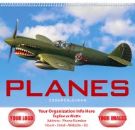 (image for) Planes 16 Month Wall Calendar - Style #1852