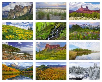 (image for) American Splendor 12 Sheet Executive with Date Blocks #3108