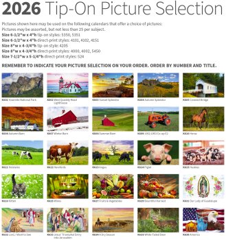 (image for) Single Pocket Tip-On-Choice Pictures- #4205