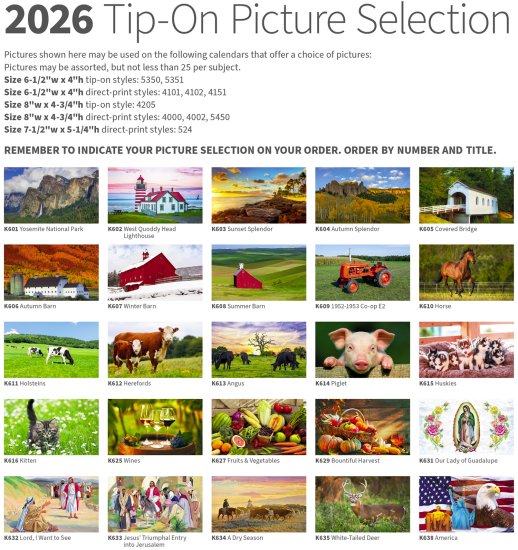 (image for) Single Pocket Tip-On-Choice Pictures- #4205