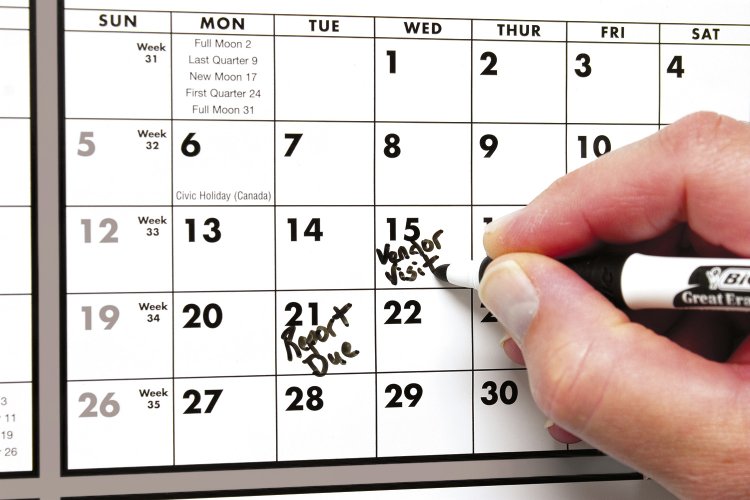 (image for) Laminated Time Management Span-A-Year Black&White- # 6220