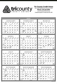 (image for) Non-Laminated Time Management Span-A-Year Black&White- # 6221
