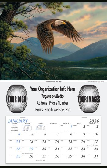 (image for) Large Hanger Commercial Wall Calendar- #6404