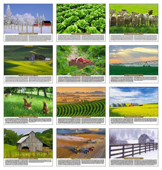 (image for) Scenic Almanac 12-Sheet Wall Calendar Stapled Binding- # 6702