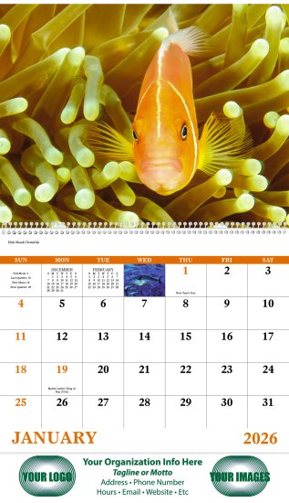 (image for) Ocean Glory Wall Calendar Spiral Binding #7017