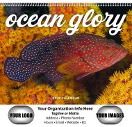(image for) Ocean Glory Wall Calendar Spiral Binding #7017