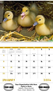 (image for) Baby Farm Animals Wall Calendars - Spiral #7020