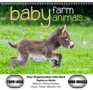 (image for) Baby Farm Animals Wall Calendars - Spiral #7020