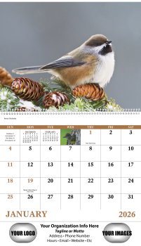 (image for) Birds of North America - Spiral Version #7036