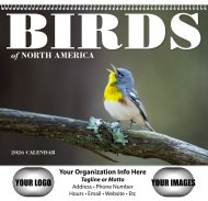 (image for) Birds of North America - Spiral Version #7036