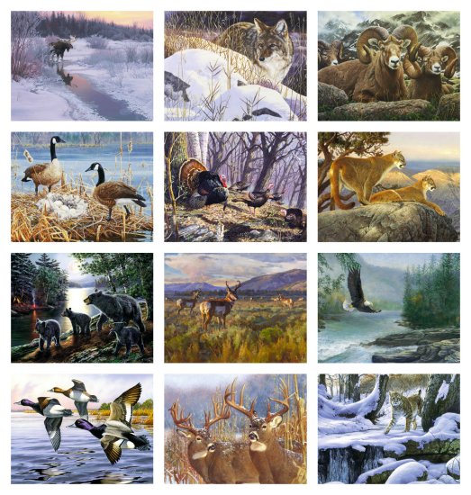 (image for) Wildlife Canvas- Spiral Bound Wall Calendar- #7038