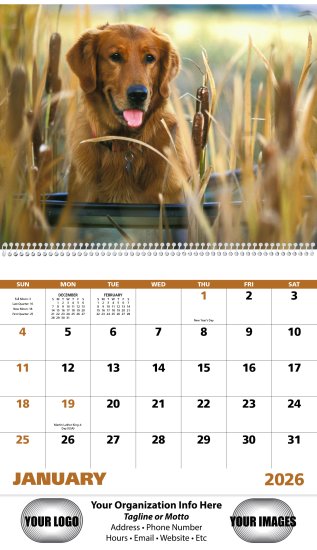 (image for) Sporting Dogs Wall Calendar Spiral Binding #7090 NEW ITEM FOR 2025!! 