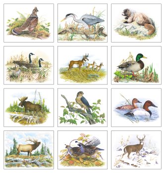 (image for) Wildlife Trek Stapled Wall Calendar #7203