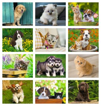 (image for) Puppies & Kittens Stapled Wall Calendar- #7207