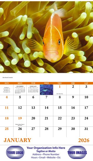 (image for) Ocean Glory Stapled Wall Calendar #7217