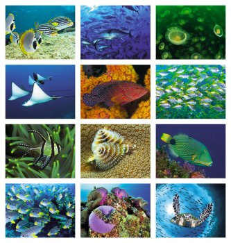 (image for) Ocean Glory Stapled Wall Calendar #7217