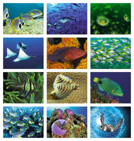 (image for) Ocean Glory Stapled Wall Calendar #7217