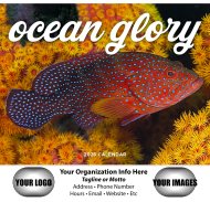 (image for) Ocean Glory Stapled Wall Calendar #7217