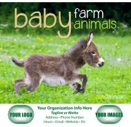 (image for) Baby Farm Animals Stapled Wall Calendar - #7220
