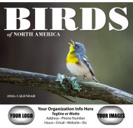 (image for) Birds of North America - Stapled Version #7236
