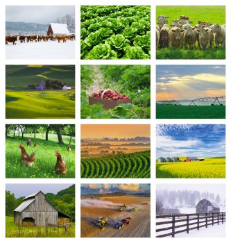 (image for) Agriculture Stapled Wall Calendar #7247