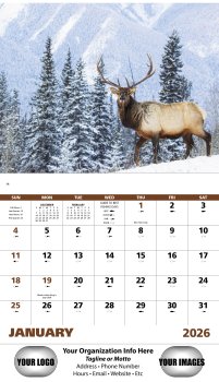 (image for) Wildlife Portraits Stapled Wall Calendars #7263