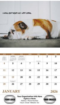 (image for) Pets w/Attitude Stapled Wall Calendar - #7286