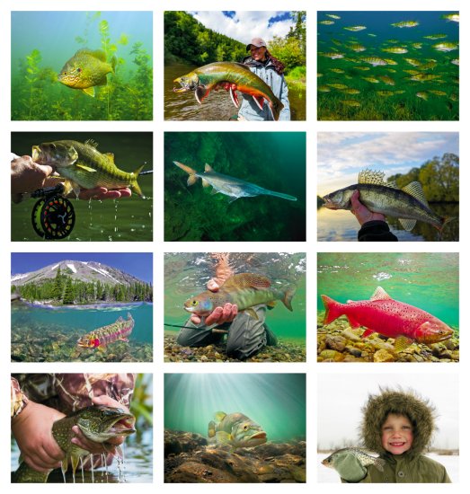 (image for) Fishing Stapled Wall Calendar #7299