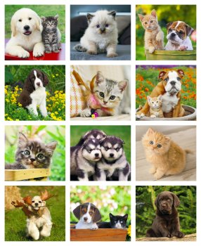 (image for) Mini Puppies & Kittens 12-Month Wall Calendar- # 7708